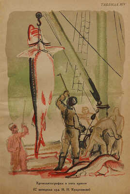 Суворов П.И. Краткий курс репродукционных процессов / Изд. 2-е. М., 1933.